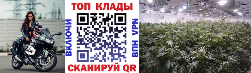 Магазин наркотиков Холм А ПВП  МЕФ  ГАШИШ  Лсд 25  COCAIN  Канабис 