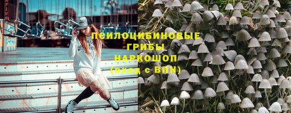 ПСИЛОЦИБИНОВЫЕ ГРИБЫ Новодвинск